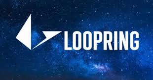 Top 10 Layer 2 Projects In 2024, Loopring