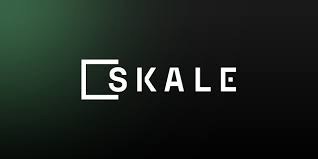 Skale, Top 10 Layer 2 Projects In 2024