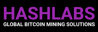 Bitcoin Mining Ban, Hashlabs