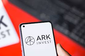 Cathie Wood'S Ark Investment Management Bets Big On Elon Musk'S Ai Venture, Xai