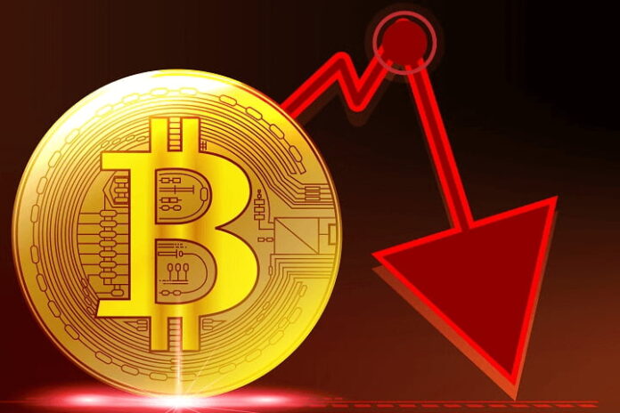 bitcoin price fall