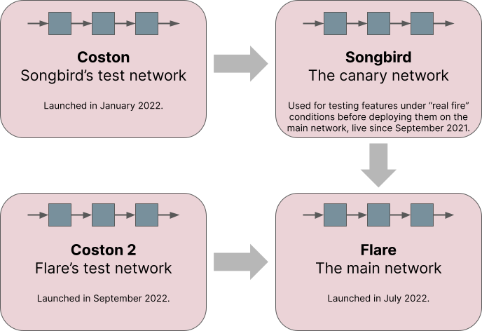 Understanding Flare Network: A Comprehensive Guide