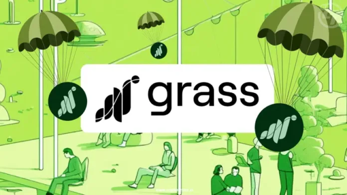 What Is Grass Token? Understanding the Upcoming Launch